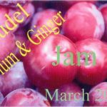 Pre-Printed Colour Labels PK700